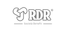 RDR logo grey