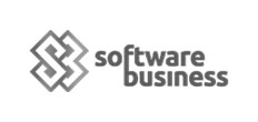 Software-Business logo grey